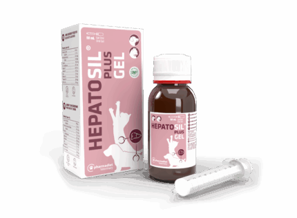 Hepatoprotector Hepatosil Plus Gel 50 ml
