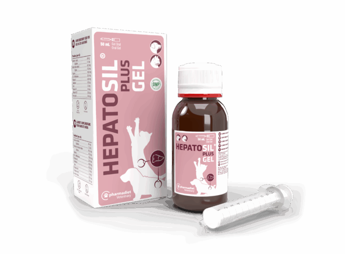 Hepatoprotector Hepatosil Plus Gel 50 ml