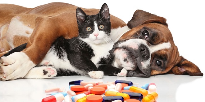 Medicamentos mascotas Sevilla