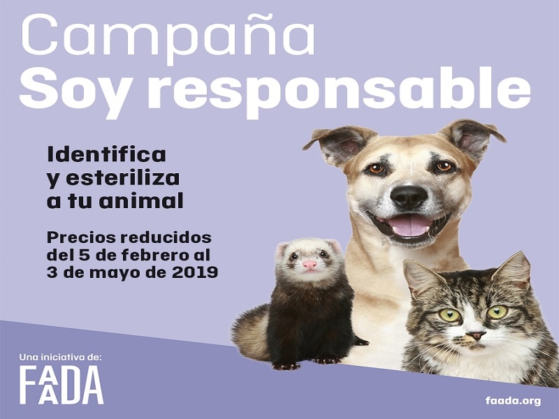 campaña FAADA, campaña de identificación y esterilización de mascotas