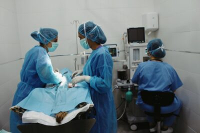 cirugía veterinaria